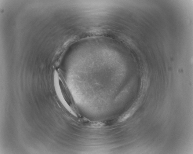 X0000052570576200507292009