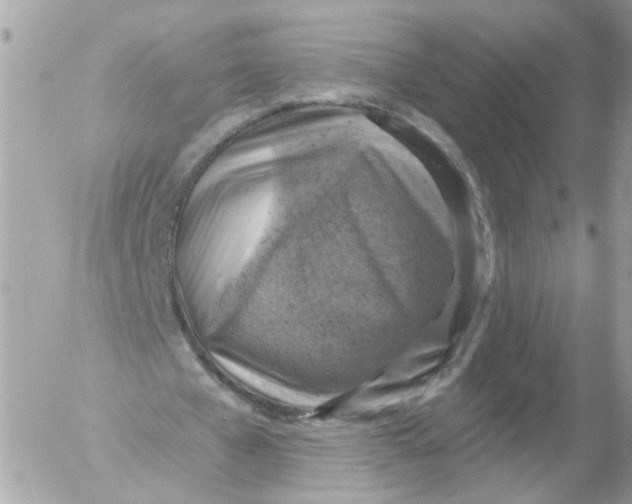 X0000052570577200507292009