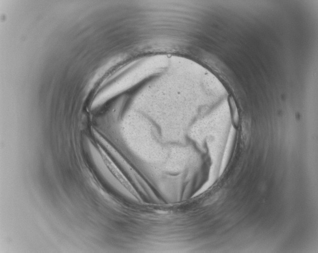 X0000052570578200507292009