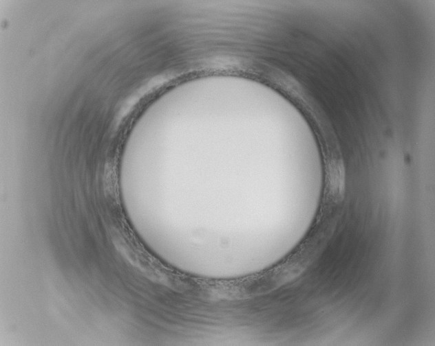 X0000052570579200507292009