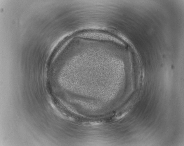 X0000052570580200507292009