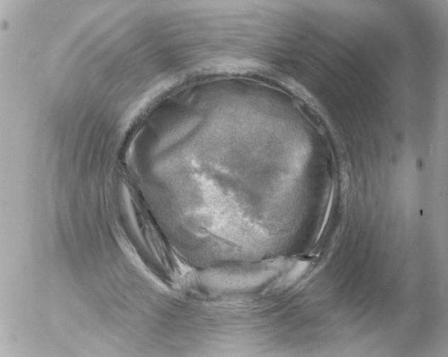 X0000052570581200507292009