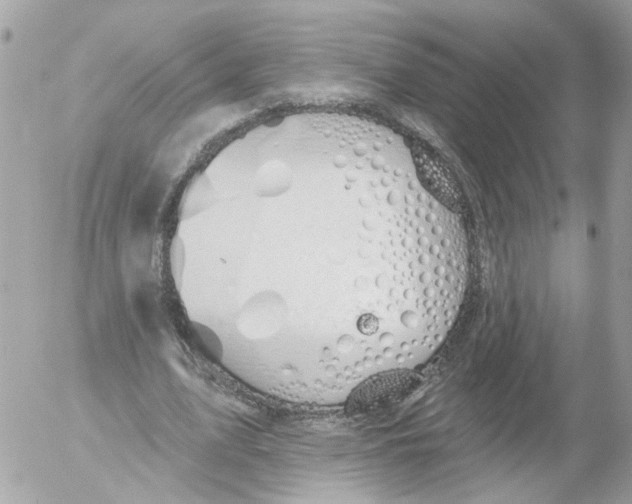 X0000052570583200507292008