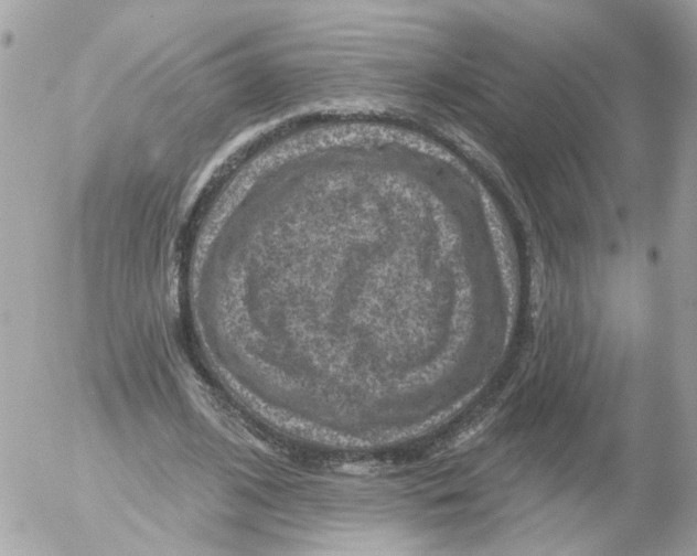 X0000052570584200507292008