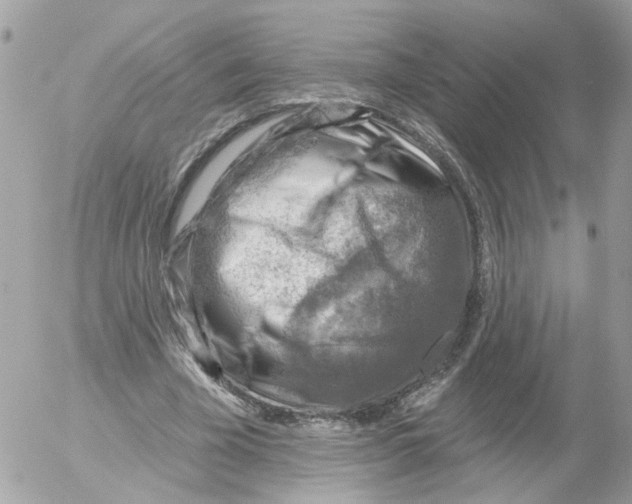 X0000052570585200507292008