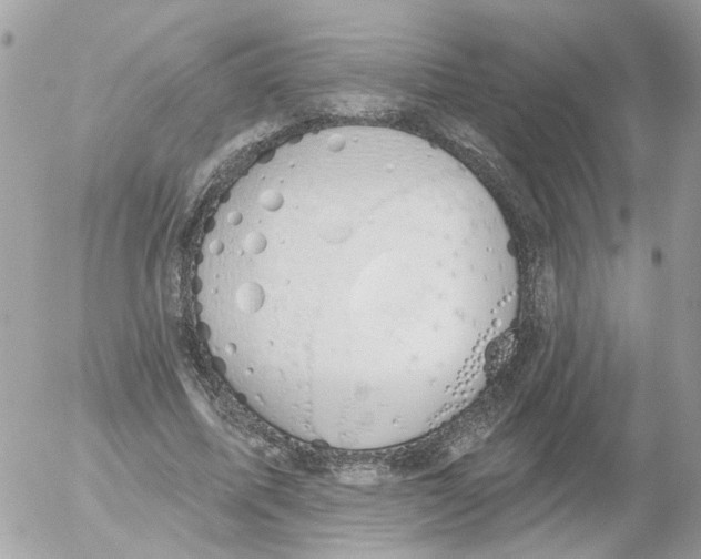 X0000052570587200507292008