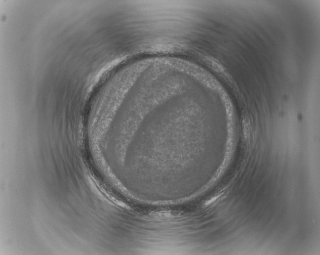 X0000052570588200507292008