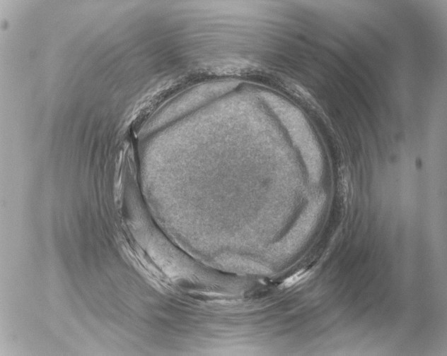 X0000052570589200507292008