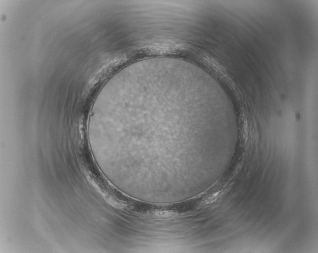 X0000052570590200507292008