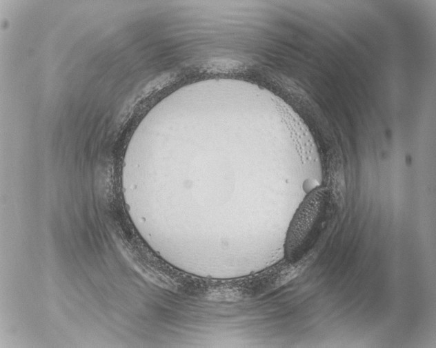 X0000052570591200507292008