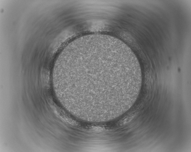 X0000052570592200507292008