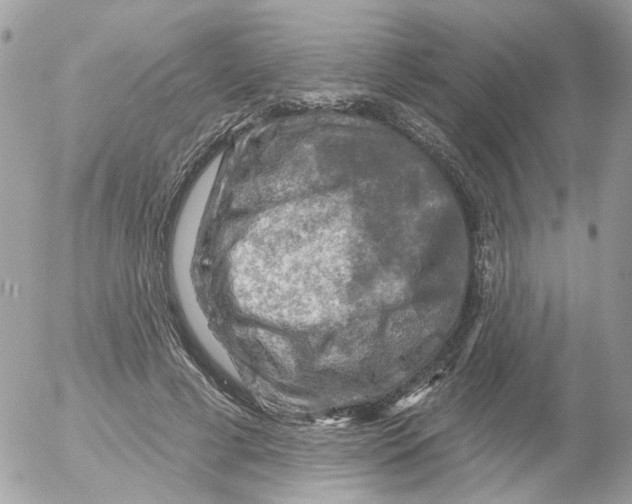 X0000052570593200507292008