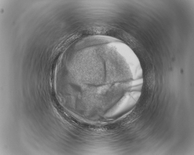 X0000052570594200507292008