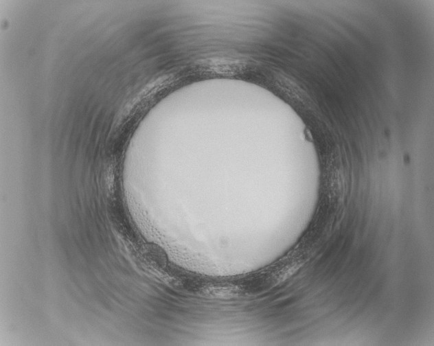 X0000052570595200507292008