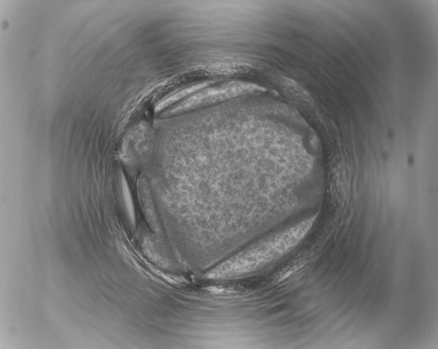 X0000052570596200507292008