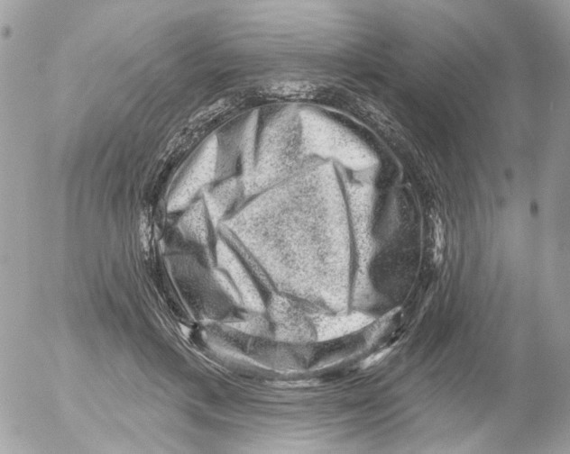 X0000052570597200507292008