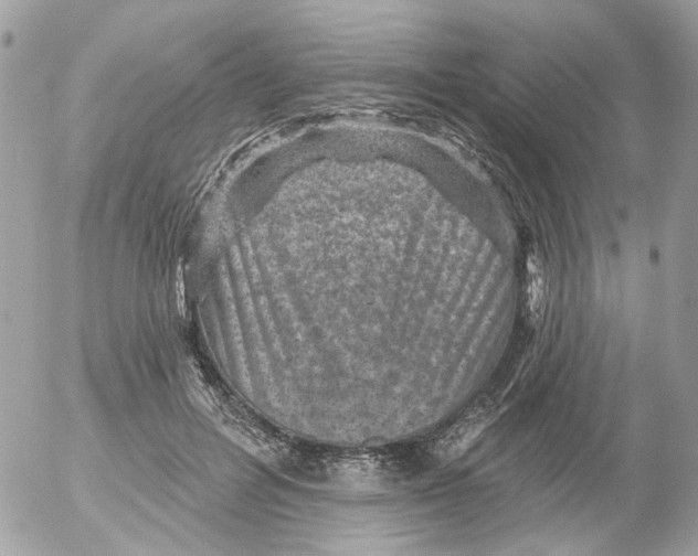 X0000052570600200507292008