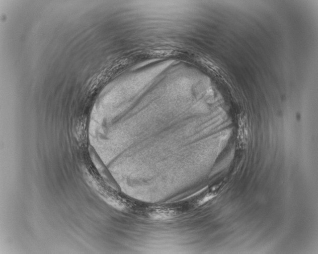 X0000052570601200507292008