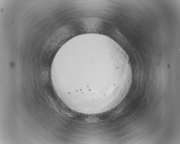 X0000052570603200507292008