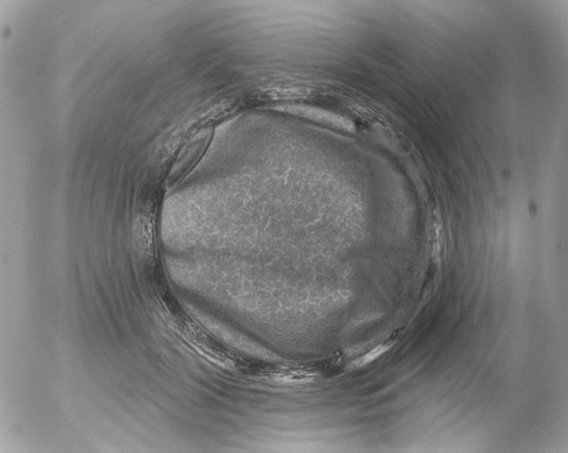 X0000052570604200507292008