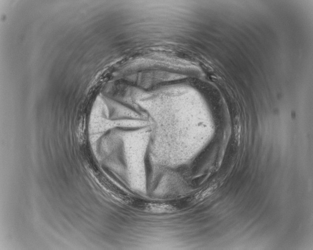 X0000052570605200507292008