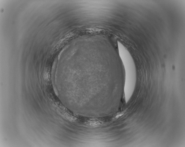 X0000052570608200507292008