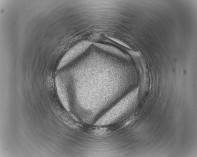 X0000052570609200507292008