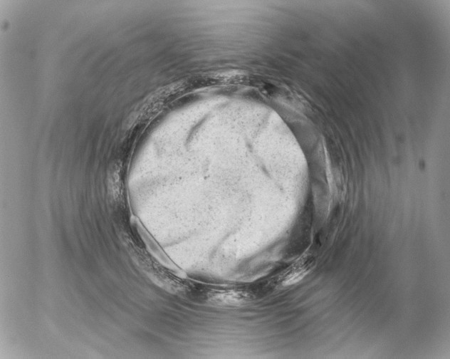 X0000052570611200507292008