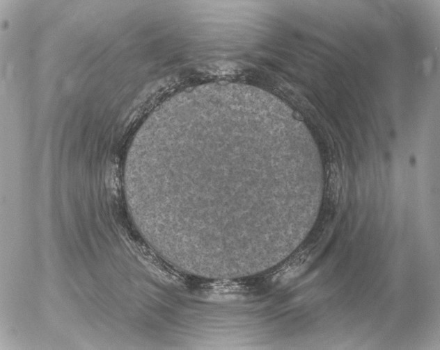 X0000052570612200507292008