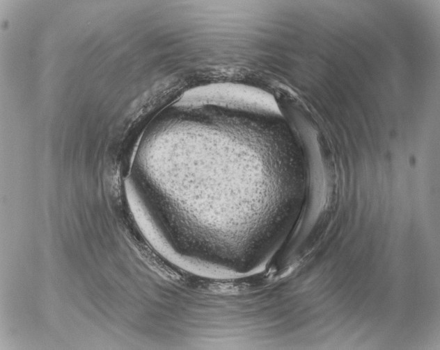 X0000052570613200507292008