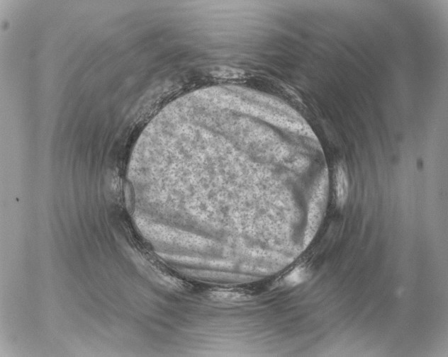 X0000052570614200507292008