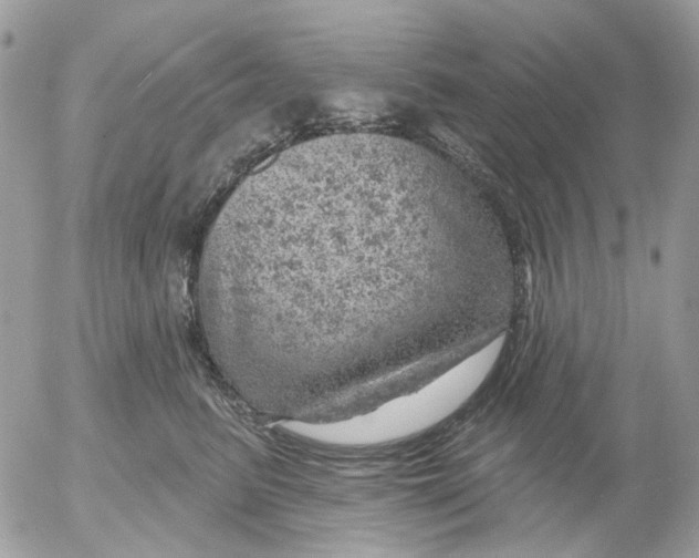 X0000052570615200507292008