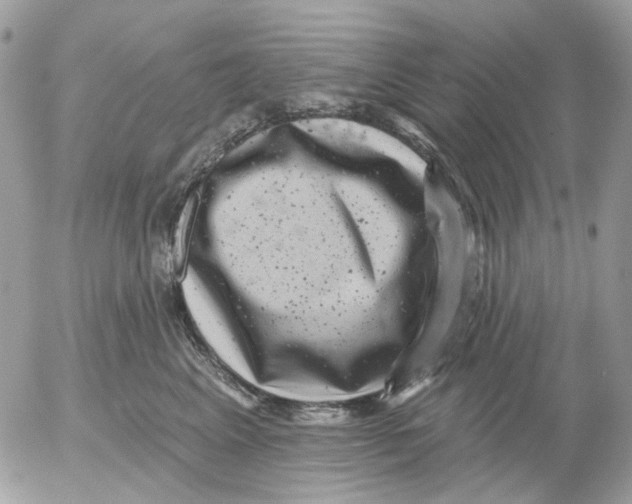 X0000052570617200507292008