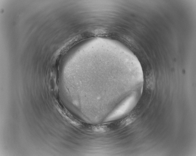 X0000052570618200507292008