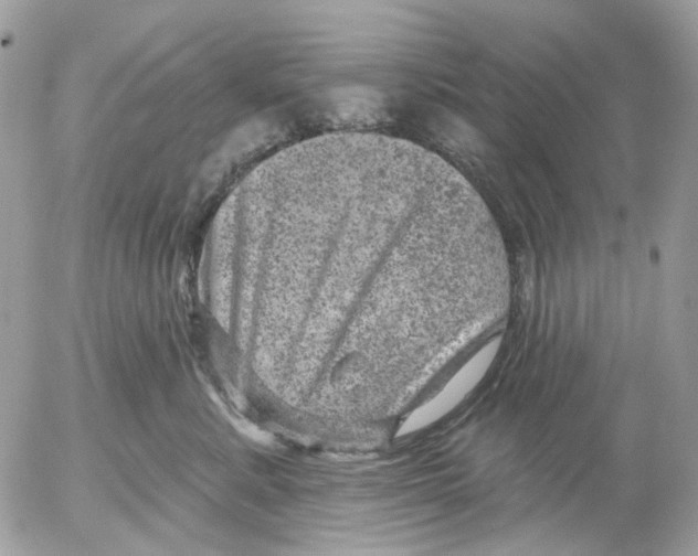 X0000052570619200507292008