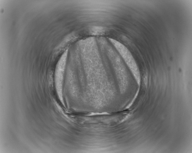 X0000052570620200507292008