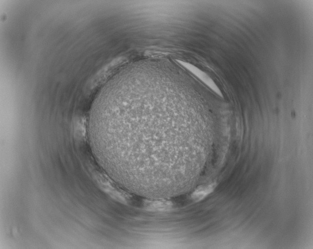 X0000052570621200507292008