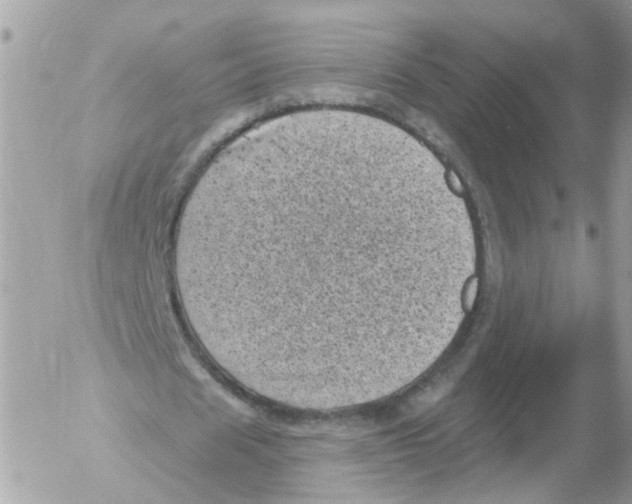 X0000052570625200507292007