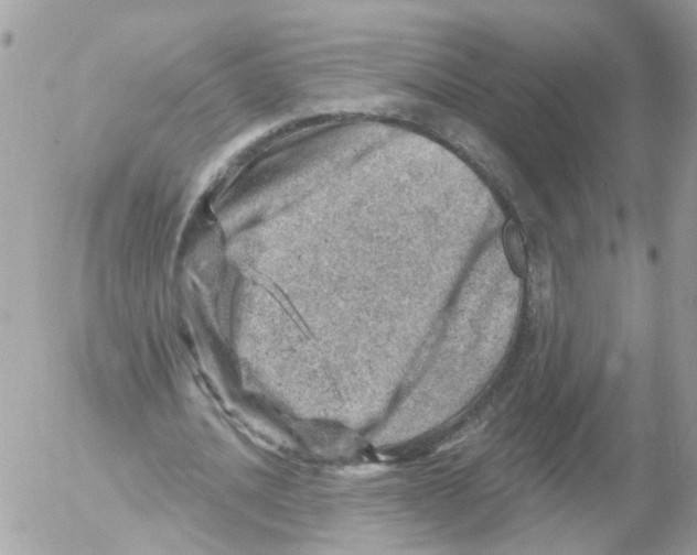 X0000052570628200507292007