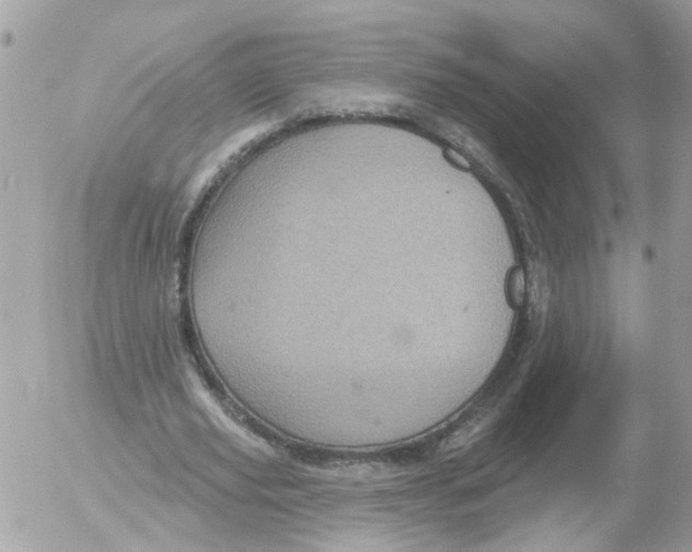 X0000052570629200507292007