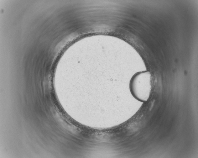 X0000052570632200507292007