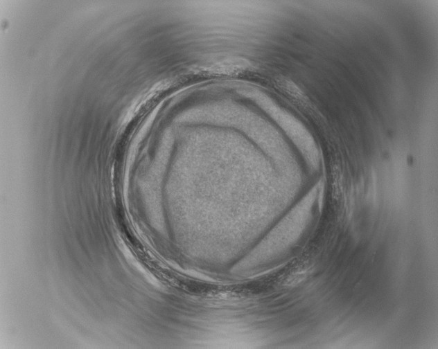 X0000052570634200507292007