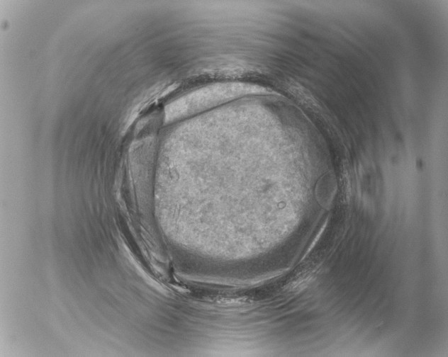 X0000052570638200507292007