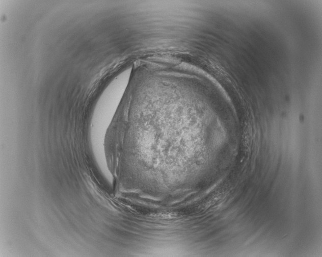 X0000052570639200507292007