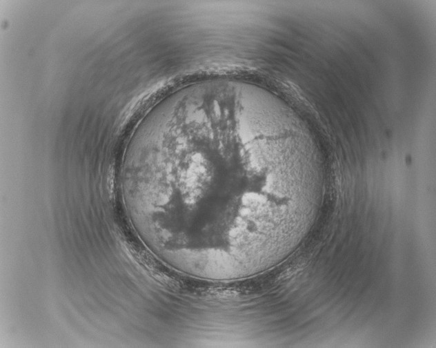 X0000052570640200507292007