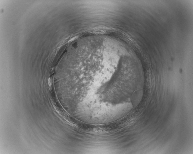 X0000052570641200507292007