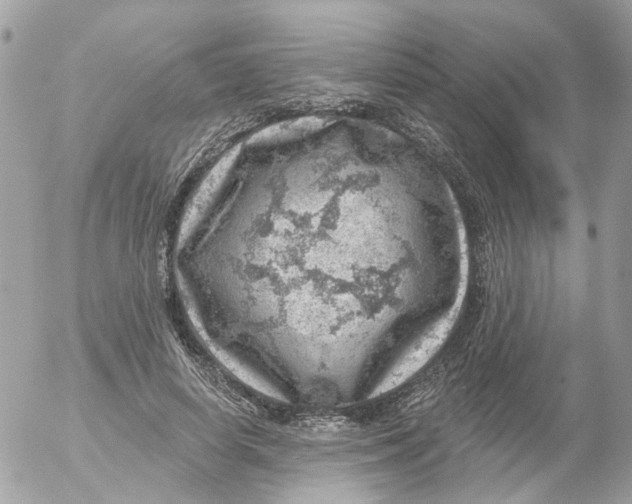 X0000052570642200507292007