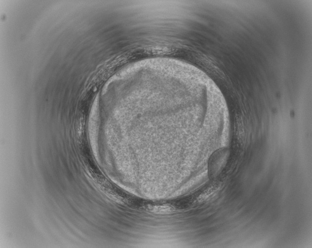 X0000052570645200507292007