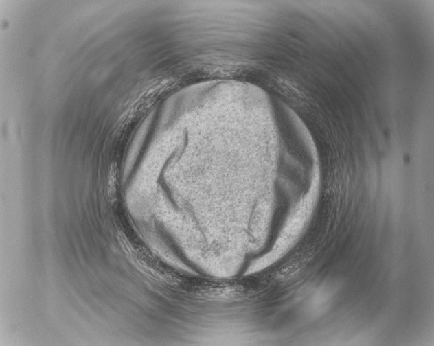 X0000052570646200507292007