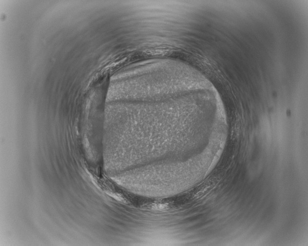 X0000052570647200507292007